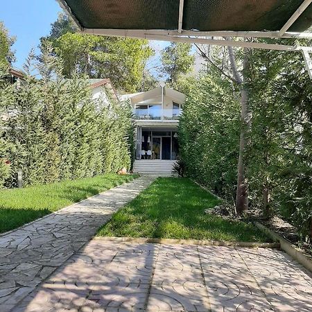 Villa Leyland Golem  Exterior foto